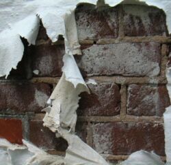 MINOLTA DIGITAL CAMERA